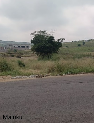 Investir en RD Congo